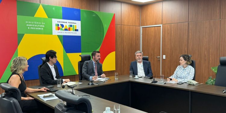 ABEGS reforça abertura e expansão de mercados internacionais em reunião com o Mapa