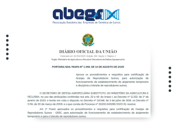 MAPA atualiza norma que rege as Granjas de Reprodutores Suínos Certificadas