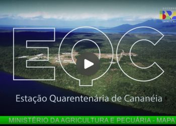 Estação Quarentenária de Cananéia ganha destaque nacional e internacional em vídeo elaborado pelo MAPA