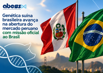 Genética suína brasileira avança na abertura do mercado peruano com missão oficial ao Brasil