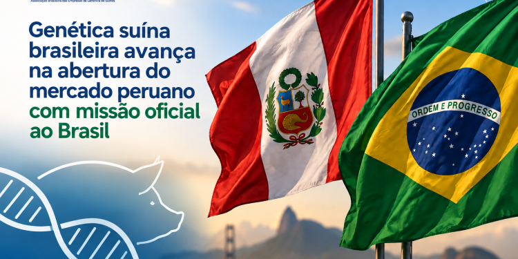 Genética suína brasileira avança na abertura do mercado peruano com missão oficial ao Brasil